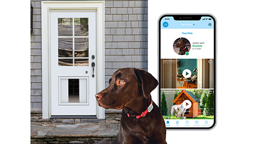 myq-pet-portal-956206.jpg?ext=.jpg